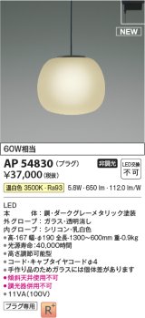 コイズミ照明 AP54830 ペンダント 非調光 LED一体型 温白色 プラグタイプ ダークグレーメタリック