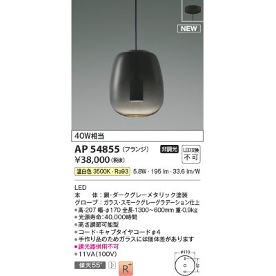 画像1: コイズミ照明 AP54855 ペンダント 非調光 LED一体型 温白色 フランジタイプ スモークグレーグラデーション