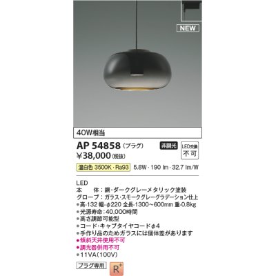 画像1: コイズミ照明 AP54858 ペンダント 非調光 LED一体型 温白色 プラグタイプ スモークグレーグラデーション