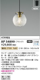 コイズミ照明 AP54899 ペンダント 非調光 LED 電球色 フランジタイプ