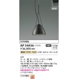 コイズミ照明 AP54936 ペンダント 非調光 LED一体型 電球色 プラグタイプ 黒ニッケルメッキ