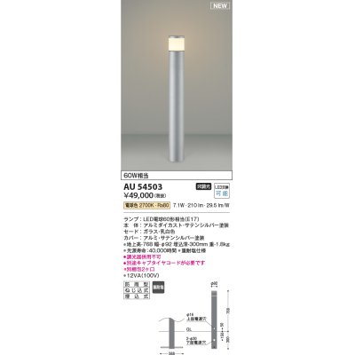 画像1: コイズミ照明 AU54503(別梱2ヶ口) アウトドアライト 非調光 LED 電球色 防雨型 サテンシルバー