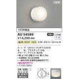 コイズミ照明 AU54589 ブラケット 非調光 LED 温白色 直付・壁付取付 防雨・防湿型 白色