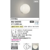 コイズミ照明 AU54593 ブラケット 非調光 LED 温白色 直付・壁付取付 防雨・防湿型 白色