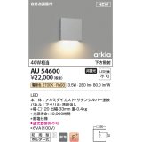 コイズミ照明 AU54600 ブラケット 非調光 LED一体型 電球色 下方照射 自動点滅器付 防雨型 サテンシルバー