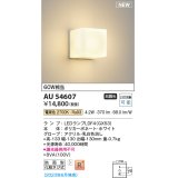 コイズミ照明 AU54607 ブラケット 非調光 LED 電球色 防雨型 ホワイト