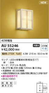 コイズミ照明 AU55246 和風照明 ブラケット 非調光 LED 電球色 防雨型 白木