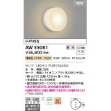 コイズミ照明 AW55081 ブラケット 調光 調光器別売 LED 電球色 直付・壁付取付 防雨・防湿型 白色