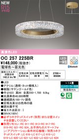 オーデリック OC257225BR シャンデリア 14畳 調光調色 Bluetooth リモコン別売 LED一体型 高演色LED サテンゴールド