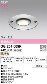 オーデリック OG254009R エクステリア グランドアップライト LED一体型 電球色 高演色LED ワイド配光 防雨型