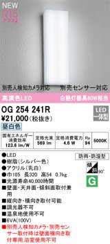 オーデリック OG254241R エクステリア ポーチライト LED一体型 昼白色 高演色LED 防雨・防湿型