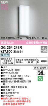 オーデリック OG254243R エクステリア ポーチライト LED一体型 昼白色 高演色LED 防雨・防湿型