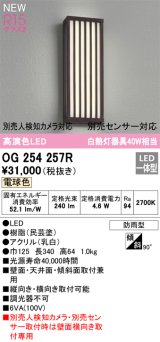 オーデリック OG254257R エクステリア ポーチライト LED一体型 電球色 高演色LED 防雨型 民芸塗