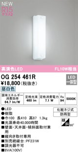 オーデリック OG254461R エクステリア ポーチライト LED一体型 昼白色 高演色LED 防雨型