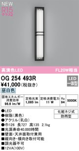 オーデリック OG254493R エクステリア ポーチライト LED一体型 昼白色 高演色LED 防雨型 黒色