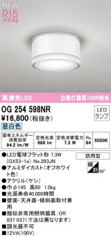 オーデリック OG254598NR(ランプ別梱) エクステリア ポーチライト LEDランプ 昼白色 高演色LED 防雨型 オフホワイト