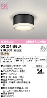 オーデリック OG254599LR(ランプ別梱) エクステリア ポーチライト LEDランプ 電球色 高演色LED 防雨型 黒色