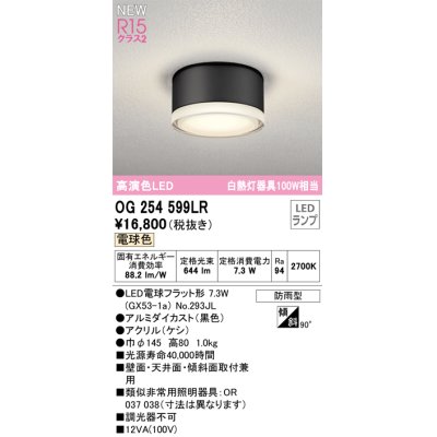 画像1: オーデリック OG254599LR(ランプ別梱) エクステリア ポーチライト LEDランプ 電球色 高演色LED 防雨型 黒色