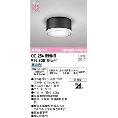 画像1: オーデリック OG254599NR(ランプ別梱) エクステリア ポーチライト LEDランプ 昼白色 高演色LED 防雨型 黒色