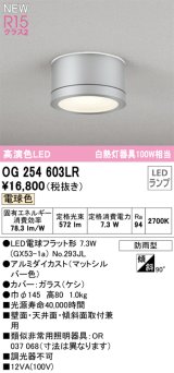 オーデリック OG254603LR(ランプ別梱) エクステリア ポーチライト LEDランプ 電球色 高演色LED 防雨型 マットシルバー