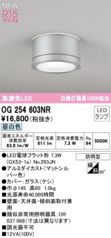 オーデリック OG254603NR(ランプ別梱) エクステリア ポーチライト LEDランプ 昼白色 高演色LED 防雨型 マットシルバー