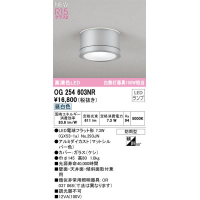 画像1: オーデリック OG254603NR(ランプ別梱) エクステリア ポーチライト LEDランプ 昼白色 高演色LED 防雨型 マットシルバー