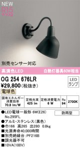 オーデリック OG254676LR(ランプ別梱) エクステリア ポーチライト LEDランプ 電球色 高演色LED 防雨型 黒色