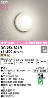 オーデリック OG254824R エクステリア ポーチライト LED一体型 電球色 高演色LED 防雨・防湿型 マットシルバー