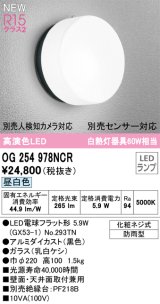 オーデリック OG254978NCR(ランプ別梱) エクステリア ポーチライト LEDランプ 昼白色 高演色LED 防雨型 黒色