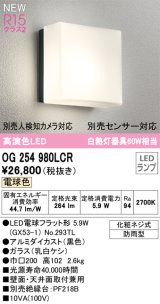 オーデリック OG254980LCR(ランプ別梱) エクステリア ポーチライト LEDランプ 電球色 高演色LED 防雨型 黒色