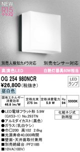 オーデリック OG254980NCR(ランプ別梱) エクステリア ポーチライト LEDランプ 昼白色 高演色LED 防雨型 黒色