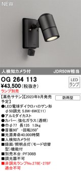 オーデリック OG264113 エクステリア スポットライト ランプ別売 LEDランプ 人検知カメラ付 防雨型 黒色サテン