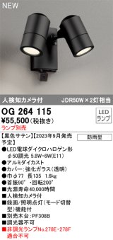 オーデリック OG264115 エクステリア スポットライト ランプ別売 LEDランプ 人検知カメラ付 防雨型 黒色サテン