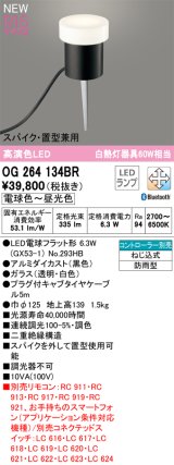 オーデリック OG264134BR(ランプ別梱) エクステリア ガーデンライト 調光調色 Bluetooth リモコン別売 LEDランプ 高演色LED スパイク・置型兼用 防雨型 黒色