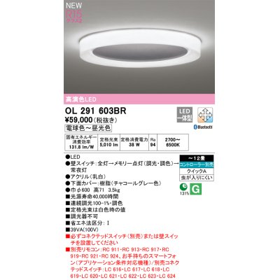 画像1: オーデリック OL291603BR シーリングライト 12畳 調光調色 Bluetooth リモコン別売 LED一体型 高演色LED チャコールグレー