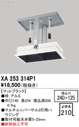 オーデリック XA253314P1 ダウンライト 部材 埋込穴240×125 ハウジング 2灯 マットブラック