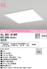 オーデリック XL501019R ベースライト 埋込穴□600 非調光 LED一体型 昼白色 直付・埋込兼用型 高演色LED ホワイト