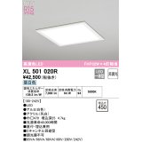 オーデリック XL501020R ベースライト 埋込穴□450 非調光 LED一体型 昼白色 直付・埋込兼用型 高演色LED ホワイト