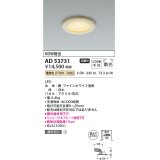 コイズミ照明　AD53731　ダウンライト 埋込穴φ100 非調光 LED一体型 電球色 白木