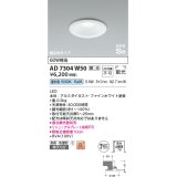 コイズミ照明　AD7304W50　ダウンライト 埋込穴φ100 調光 調光器別売 LED一体型 昼白色 防雨・防湿型 高気密SB ファインホワイト