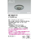 コイズミ照明　AE38651E　自動照明センサスイッチ 高気密 人感センサ付 マルチタイプ 防雨型 埋込穴φ75 ダークグレー