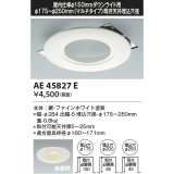 コイズミ照明　AE47874E　エクステリアライト スタンドタイプ専用別売スパイク