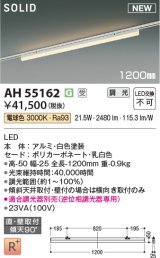 コイズミ照明 AH55162 ベースライト 調光(調光器別売) 電球色 ソリッドシームレス 直付・壁付取付 プラグタイプ ホワイト 受注生産品 [§]