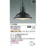 コイズミ照明　AP45534L　ペンダント フランジタイプ 白熱球100W相当 LED付 電球色 黒色塗装