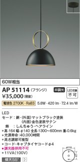 コイズミ照明　AP51114　ペンダントライト 非調光 LED一体型 電球色 フランジタイプ マットブラック