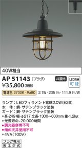 コイズミ照明　AP51143　ペンダントライト 非調光 LEDランプ 電球色 プラグタイプ ブラック