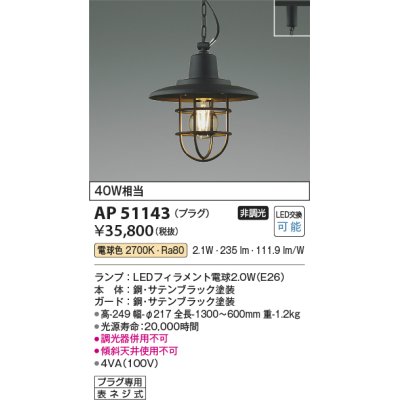 画像1: コイズミ照明　AP51143　ペンダントライト 非調光 LEDランプ 電球色 プラグタイプ ブラック