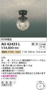 コイズミ照明　AU42433L　ポーチライト 天井 調光タイプ 白熱球60W相当 LED一体型 電球色 防雨型 アンティーク