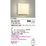 コイズミ照明　AU50739　アウトドアライト LED一体型 非調光 電球色 防雨型 化粧ネジ式 ホワイト