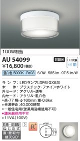 コイズミ照明　AU54099　アウトドアライト 非調光 LEDランプ 昼白色 防雨・防湿型 直付・壁付取付 ファインホワイト